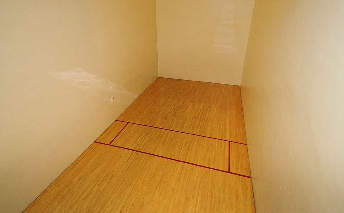 300-webb-dr-condos-mississauga-club-one-squash-court