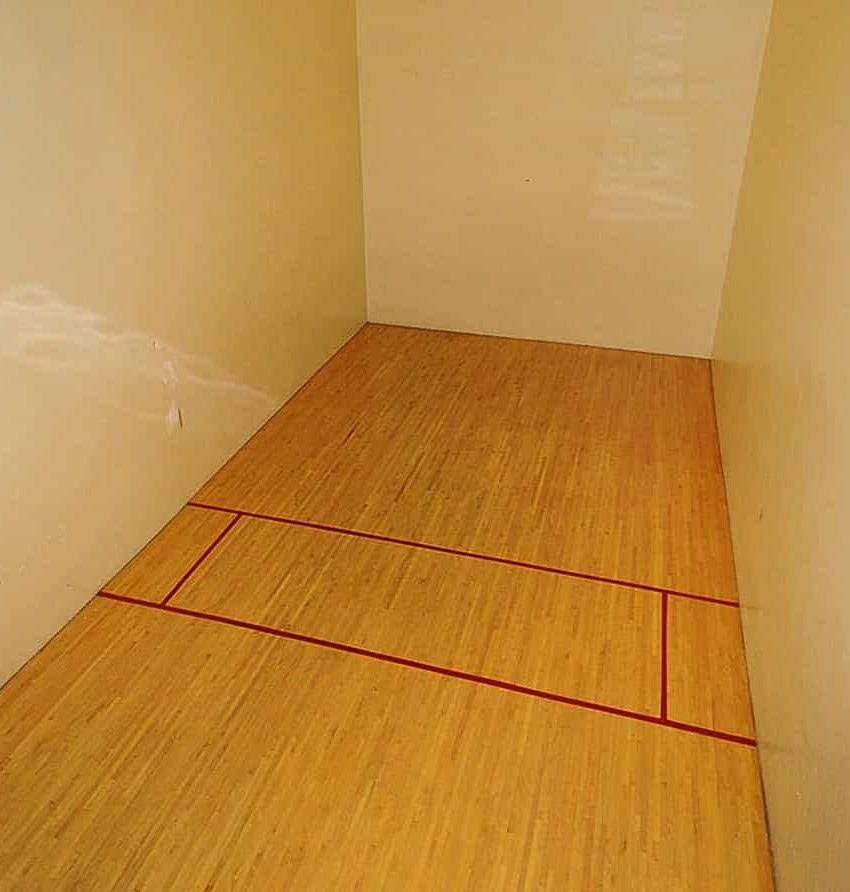 300-webb-dr-condos-mississauga-club-one-squash-court