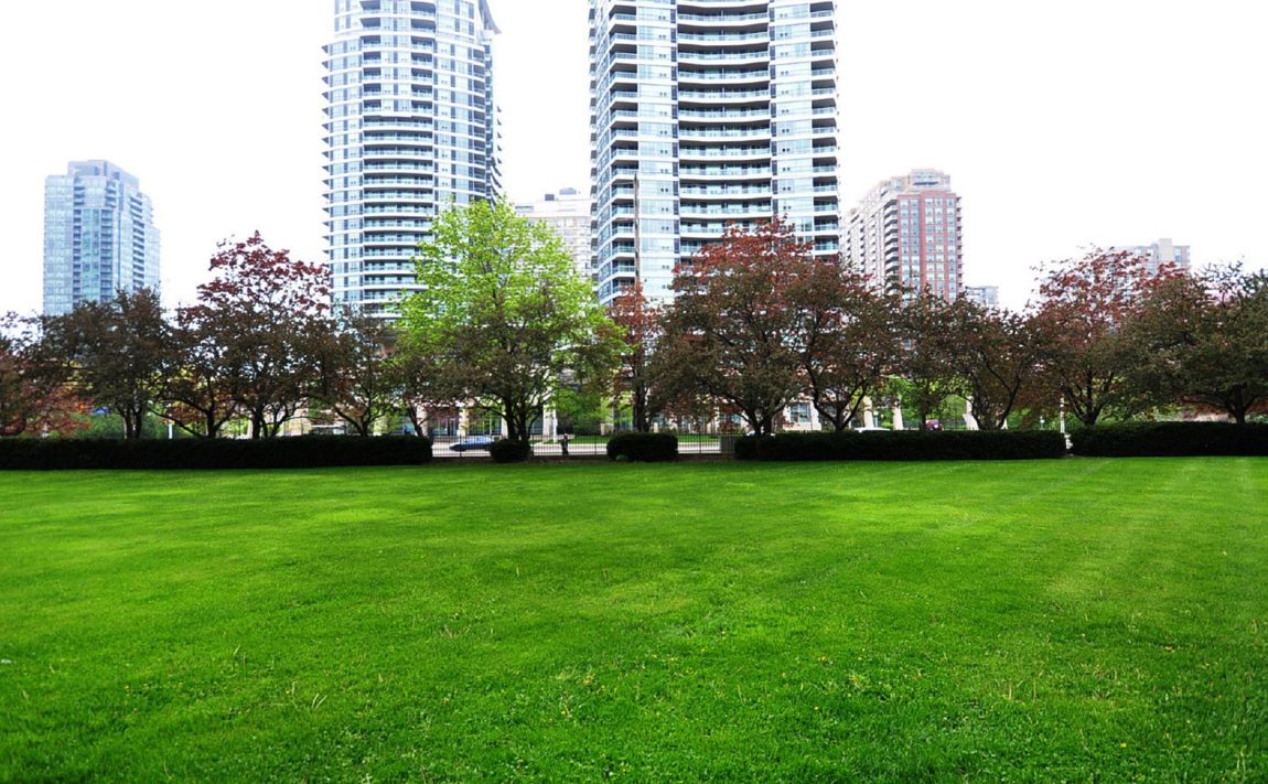 3590-kaneff-cres-mississauga-condos-obelisk-i-outdoor-field