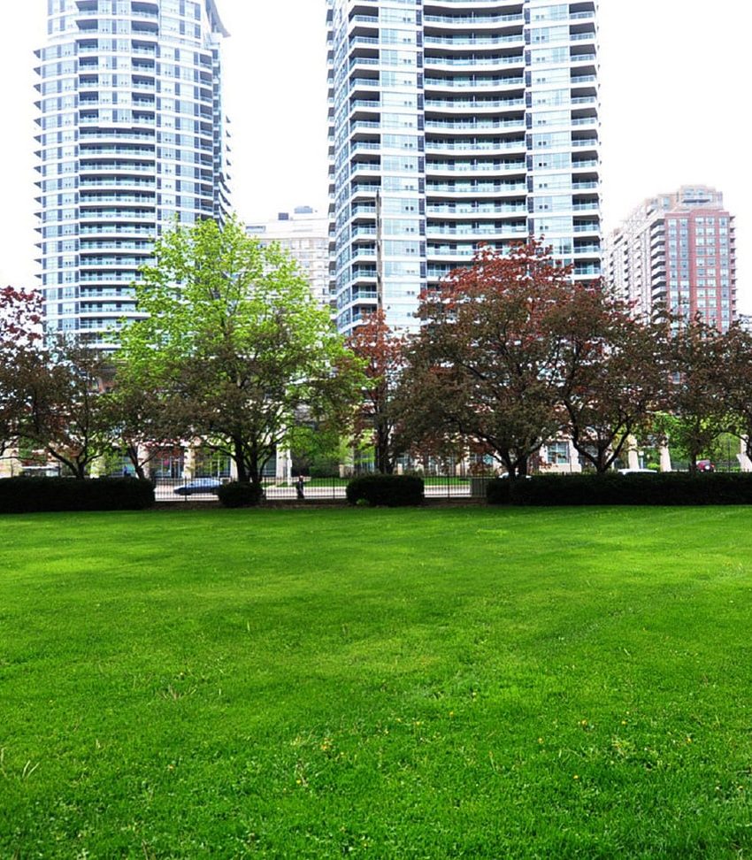 3590-kaneff-cres-mississauga-condos-obelisk-i-outdoor-field