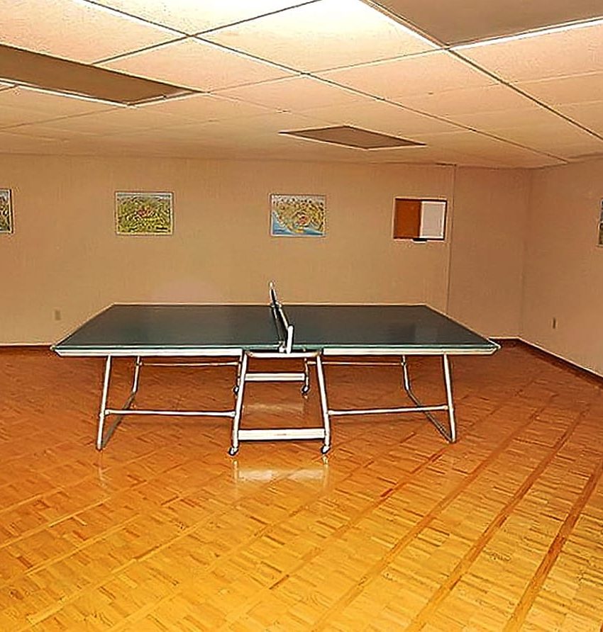 3650-kaneff-cres-mississauga-place-iv-condos-ping-pong-table