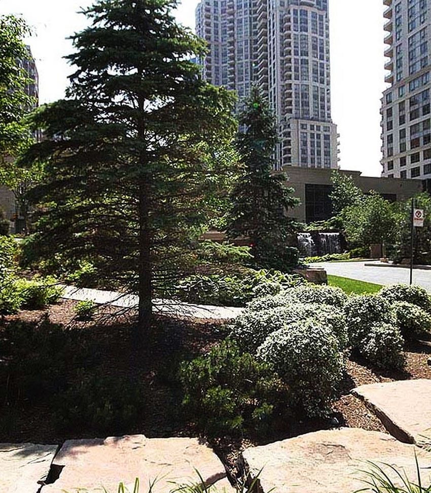 3880-duke-of-york-blvd-condos-ovation-mississauga-gardens