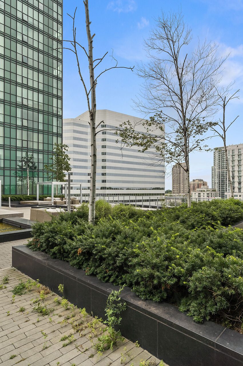 emerald-park-condos-9-bogart-ave-11-bogart-ave-north-york-rooftop-terrace